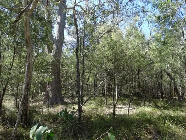 Seventh view of Homely rural property listing, Lot 13 Muller Road, Baffle Creek QLD 4674