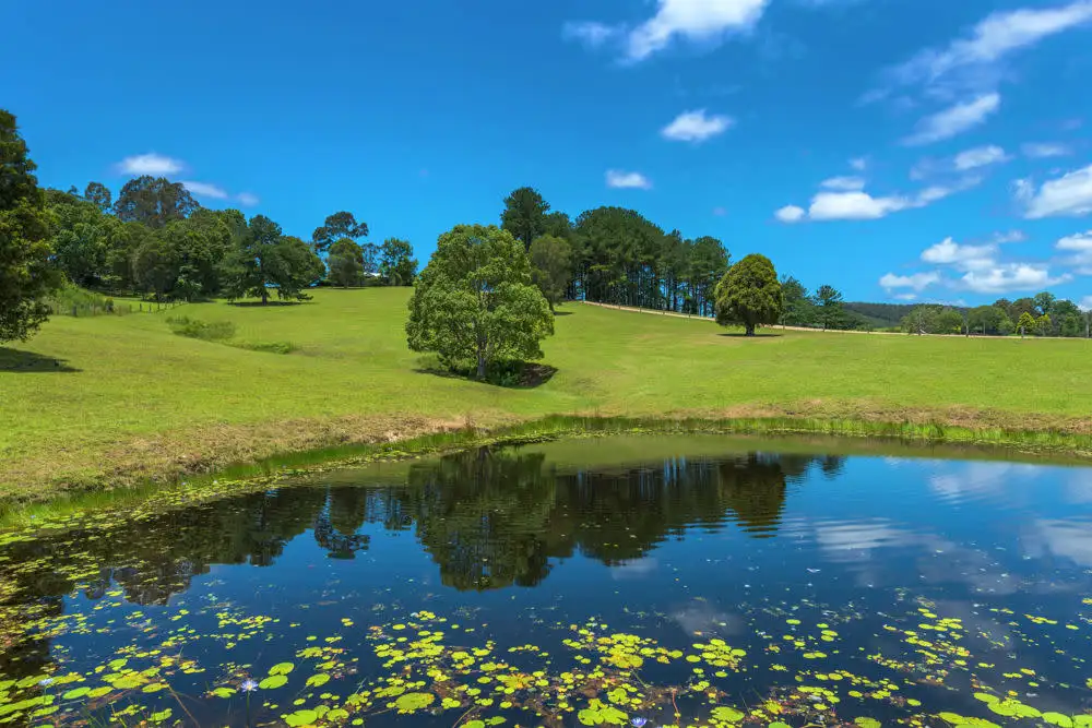 Main view of Homely rural property listing, 1010 East Bank Road, Nana Glen NSW 2450