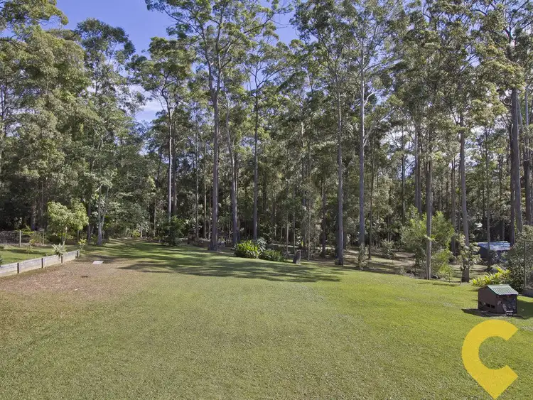 Third view of Homely house listing, 53 Nina Drive, Palmview QLD 4553