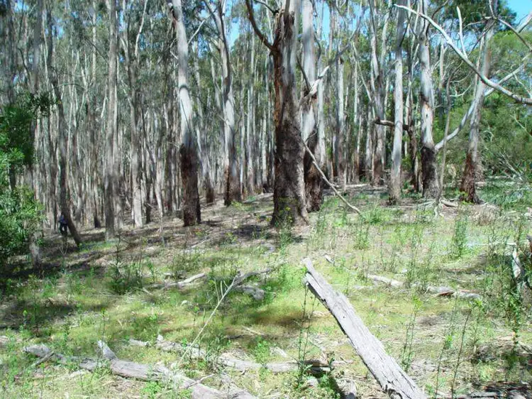 Third view of Homely land listing, Lot 101 Stock Road, Mylor SA 5153