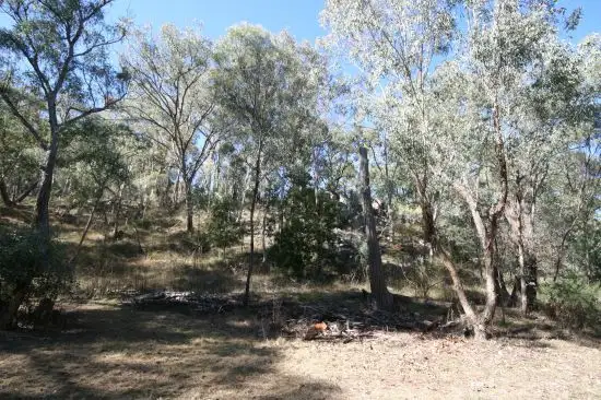 Seventh view of Homely rural property listing, 471 "Treetop" New England Gully Road Moonbi, Tamworth NSW 2340