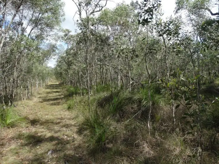 Third view of Homely rural property listing, 560 Matchbox Road, Deepwater QLD 4674