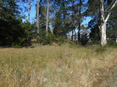 Sixth view of Homely land listing, 55 Ridge Road, Dodges Ferry TAS 7173