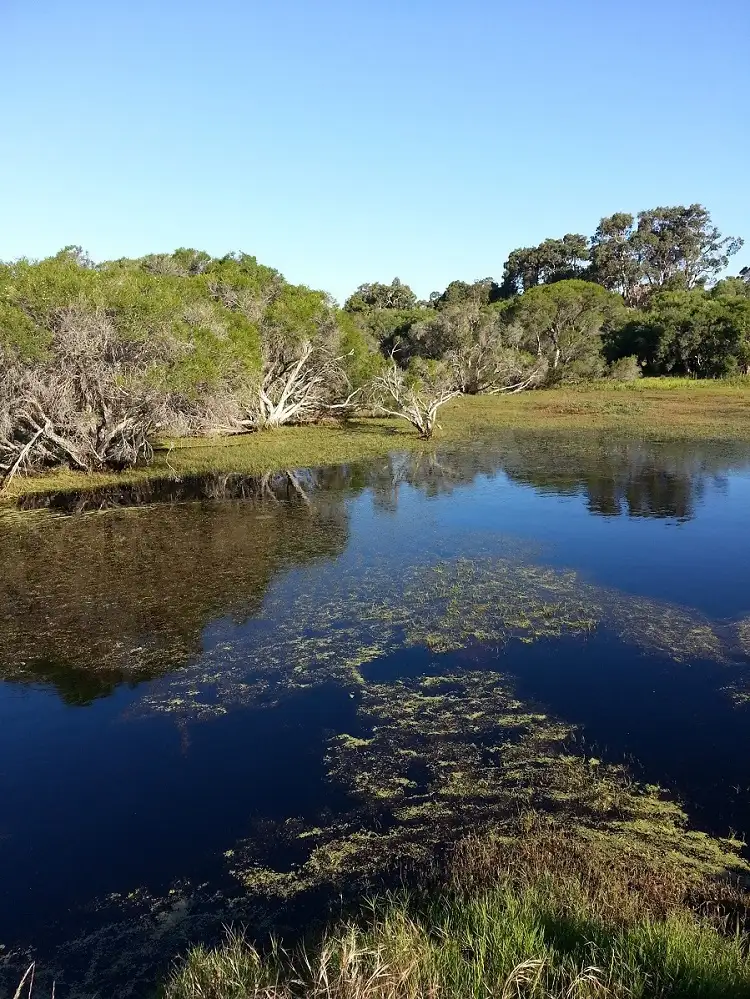 Third view of Homely land listing, Lot 3 Centenary Road, Gelorup WA 6230