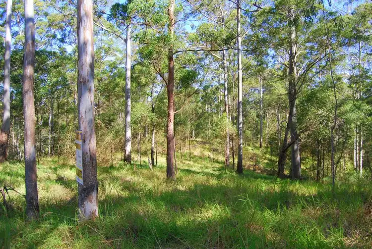 Second view of Homely land listing, 87 Doyles Road Reesville, Maleny QLD 4552