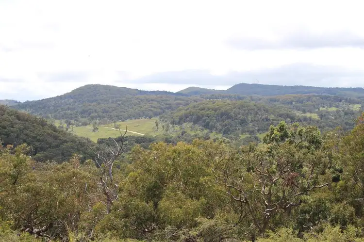 1167 Mount Mackenzie Road, Tenterfield NSW 2372