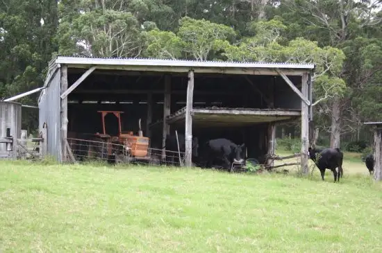 Third view of Homely rural property listing, 50 Elliots Rd, Eungai Creek NSW 2441