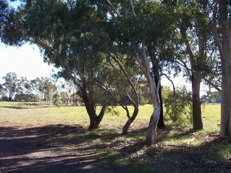 Second view of Homely land listing, 5 Lysaht St, Berrigan NSW 2712