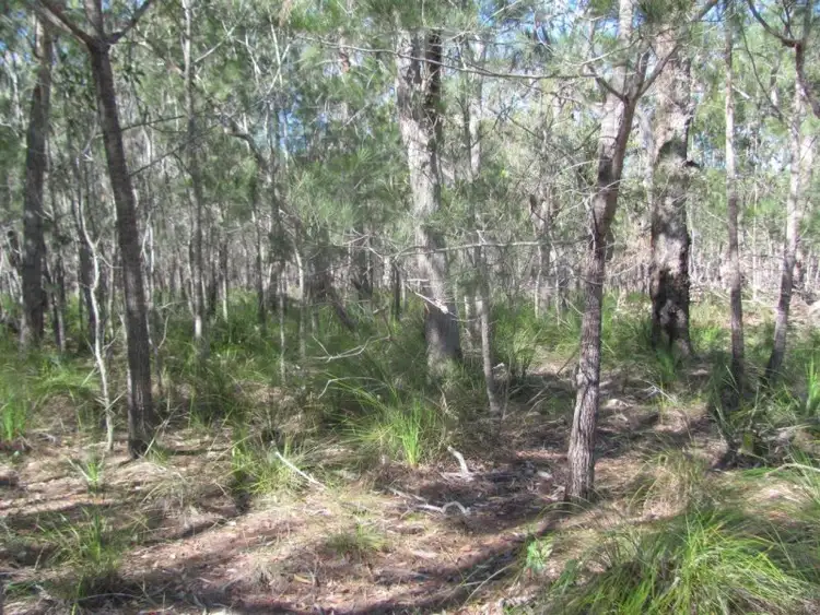 Fourth view of Homely rural property listing, 210 Capricornia Drive, Deepwater QLD 4674