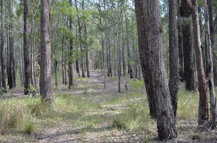 Fourth view of Homely rural property listing, Woodlands Road, Nabiac NSW 2312