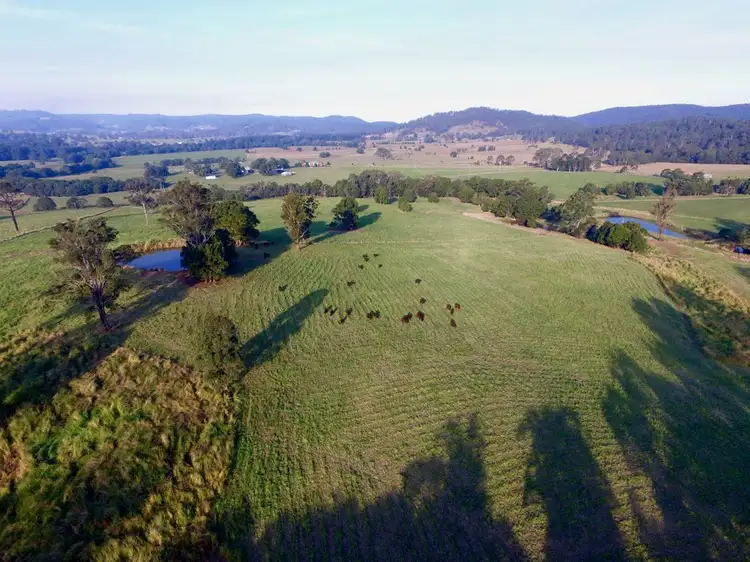 Second view of Homely rural property listing, 1368 Rollands Plains Road, Rollands Plains NSW 2441