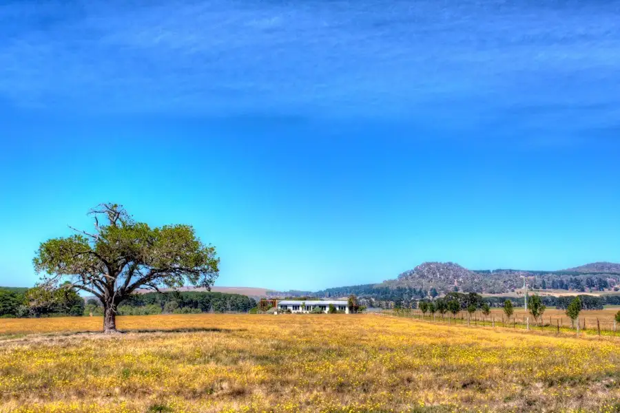 Main view of Homely rural property listing, 1277 Coghills Creek Road, Coghills Creek VIC 3364