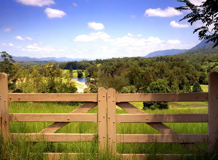 Fifth view of Homely house listing, 445 Roses Road, Bellingen NSW 2454