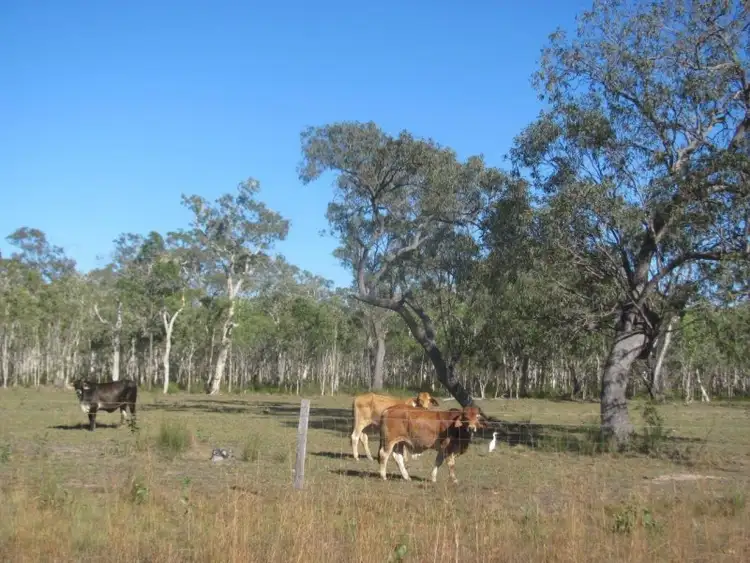 Fifth view of Homely rural property listing, 167 Dale Drive, Rules Beach QLD 4674