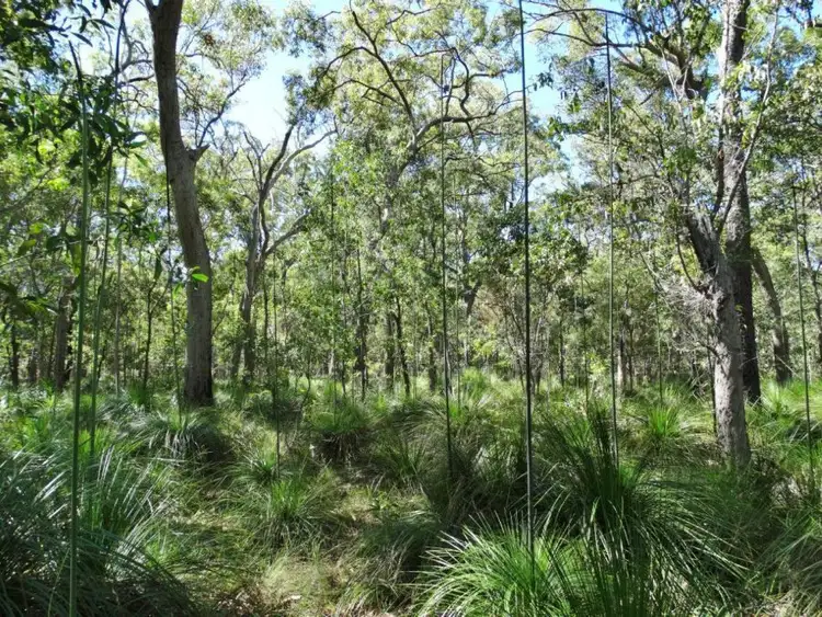 Third view of Homely rural property listing, Lot 4 Deepwater Road, Deepwater QLD 4674