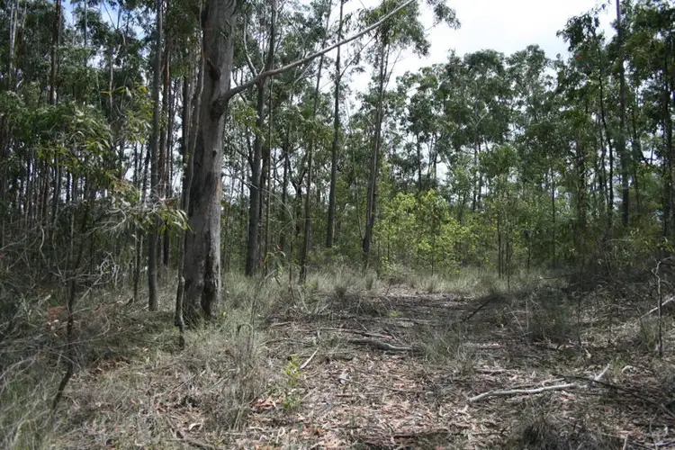 Second view of Homely rural property listing, 5 Alice Close, Dirty Creek NSW 2456