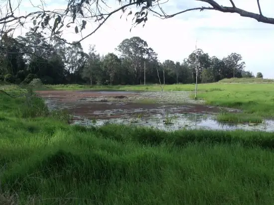 Second view of Homely rural property listing, 25 Busbys Flat, Casino NSW 2470