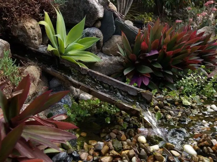 Seventh view of Homely house listing, 159 Saturn Crescent, Bridgeman Downs QLD 4035