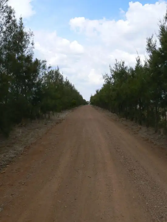 Seventh view of Homely rural property listing, 43 Bunnan Road, Scone NSW 2337