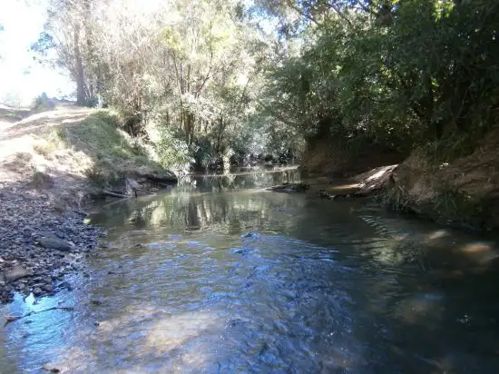 Second view of Homely rural property listing, 283 Rodgers Road, Tabulam NSW 2469