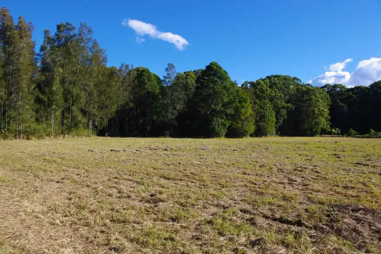 Fifth view of Homely rural property listing, 1332 Manning Point Road, Mitchells Island NSW 2430