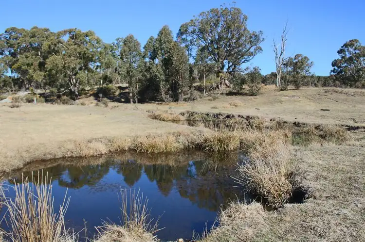 Second view of Homely rural property listing, 1331a Mount Mackenzie Road, Tenterfield NSW 2372