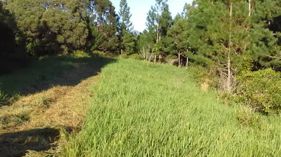 Fifth view of Homely land listing, 1412 Mossman - Mount Molloy Road, Julatten QLD 4871