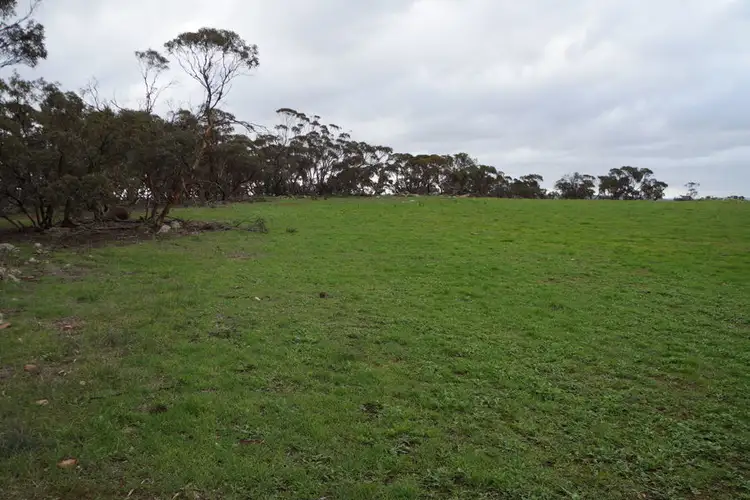 Main view of Homely rural property listing, Lot 5 Anders Road, Monarto SA 5254