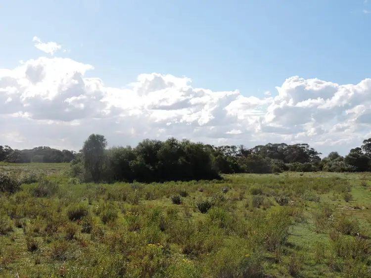 Fifth view of Homely rural property listing, Lot 4 Off Princes Highway, Tailem Bend SA 5259