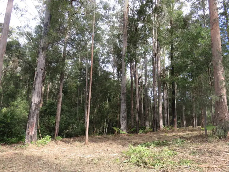Main view of Homely land listing, Lot 24 Koala Close, Valla NSW 2448