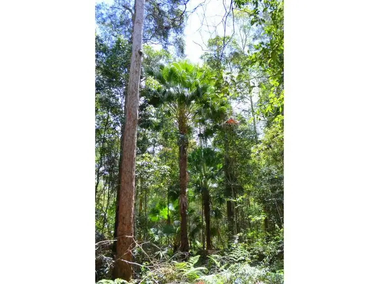 Sixth view of Homely land listing, 217/760 Cove Road, Stanmore QLD 4514