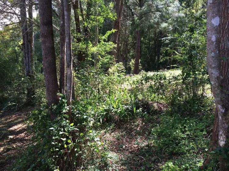 Seventh view of Homely house listing, 18 Ringwood Place, Bellingen NSW 2454