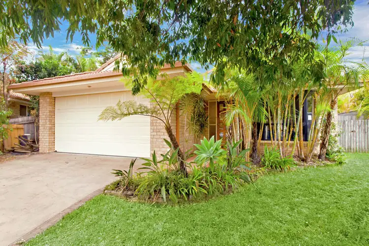 8 Tree Fern Close, Coffs Harbour NSW 2450