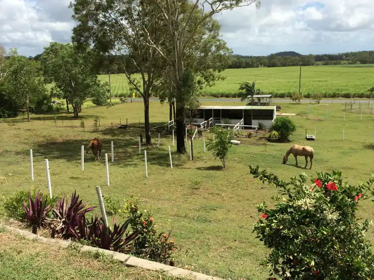 Second view of Homely rural property listing, 1785 Sarina-Homebush Road , Oakenden, Oakenden QLD 4741