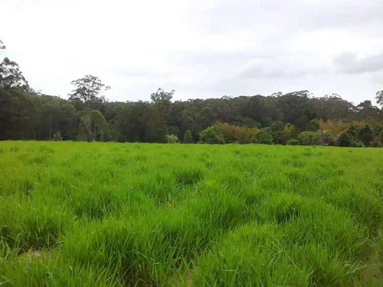 Third view of Homely house listing, 40 Gilson Road, Cootharaba QLD 4565