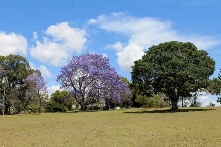 1715 Sextonville Road, Kyogle NSW 2474