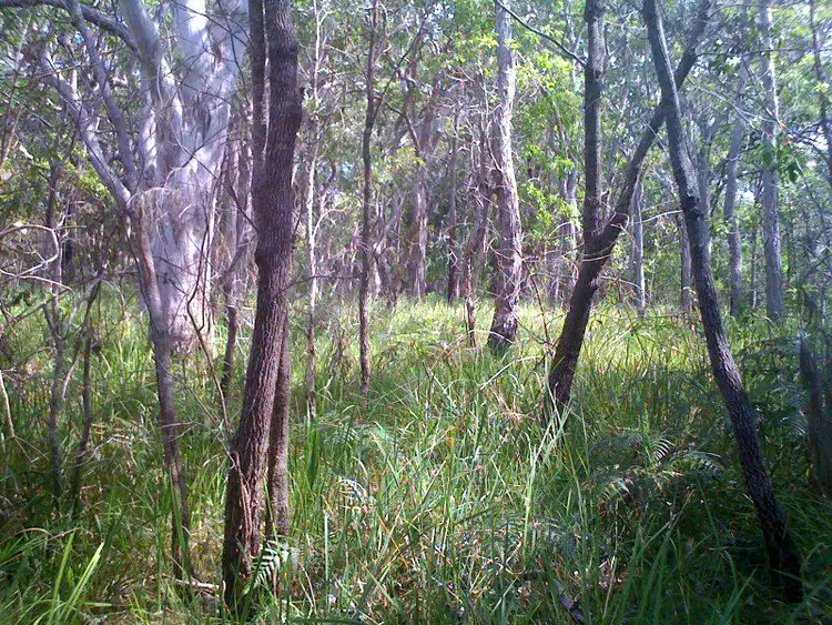 Sixth view of Homely land listing, 250 Hungry Head, Urunga NSW 2455