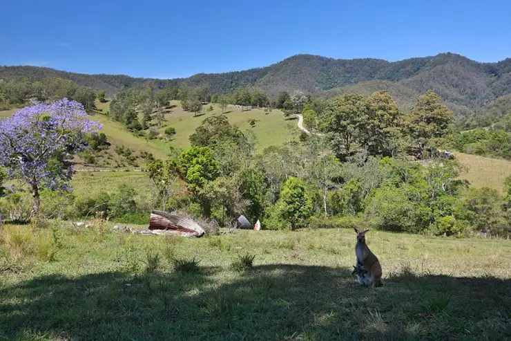 Third view of Homely rural property listing, 558 Mchughs Creek Rd, South Arm NSW 2449