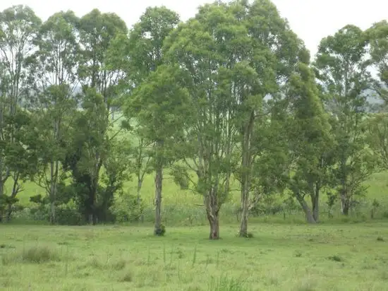 Third view of Homely land listing, 350 Brookers Road Shannon Brook, Casino NSW 2470