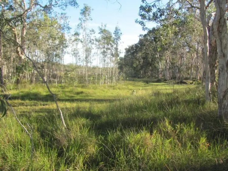 Sixth view of Homely rural property listing, 524 Pacific Drive, Deepwater QLD 4674