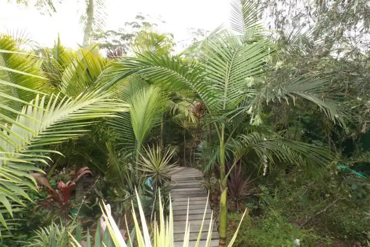 Seventh view of Homely house listing, 109 Wattlegrove Terrace, Valla Beach NSW 2448
