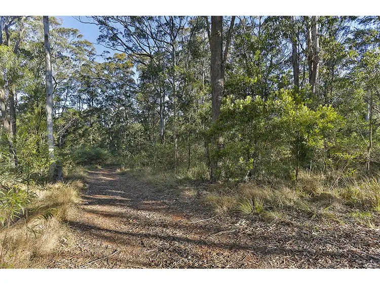 Fourth view of Homely land listing, 108 Grapetree Road, Hampton QLD 4352