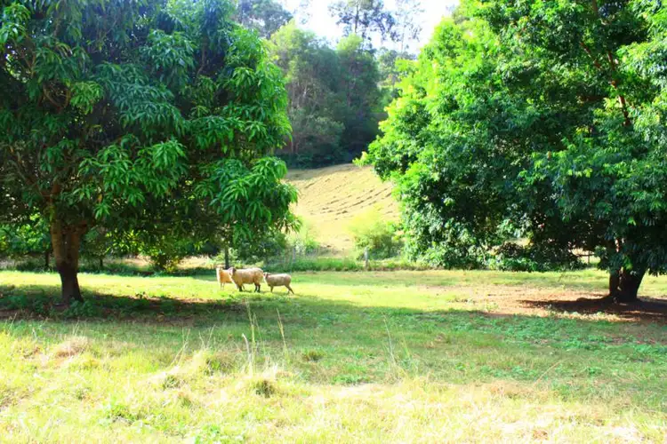 Third view of Homely house listing, 17 Hunter Street, Repton NSW 2454