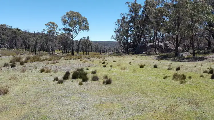 Fourth view of Homely rural property listing, 996 Mount Mitchell Road, Backwater NSW 2365