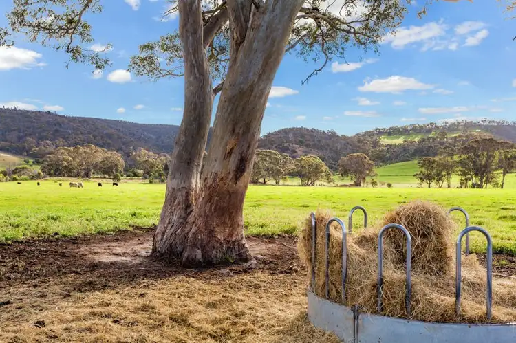 Sixth view of Homely rural property listing, 60 Murphys Road, Staughton Vale VIC 3340