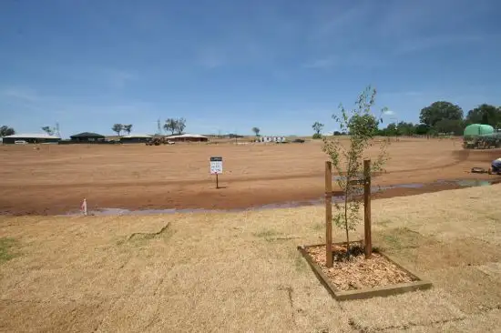 Lot 311 Lorikeet Drive, Tamworth NSW 2340