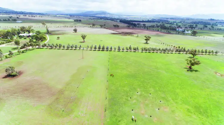 Fifth view of Homely rural property listing, 118 Nandowra Road, Scone NSW 2337