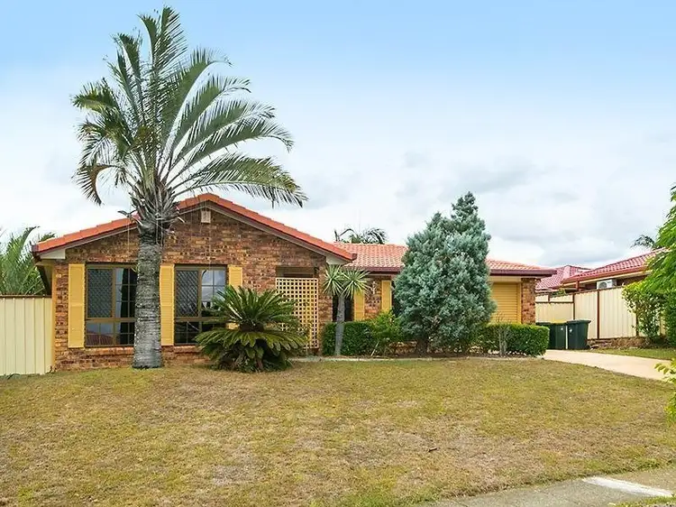Main view of Homely house listing, 85 Helicia Street, Algester QLD 4115