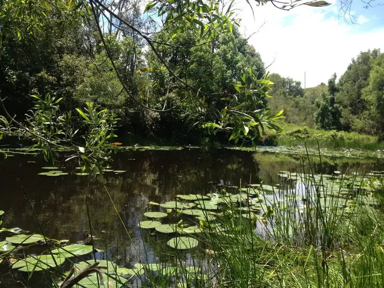 Sixth view of Homely rural property listing, 1072 Valla Road, Valla NSW 2448