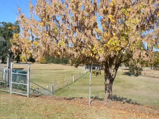 Second view of Homely house listing, 1 Park Street, Moonan Flat NSW 2337